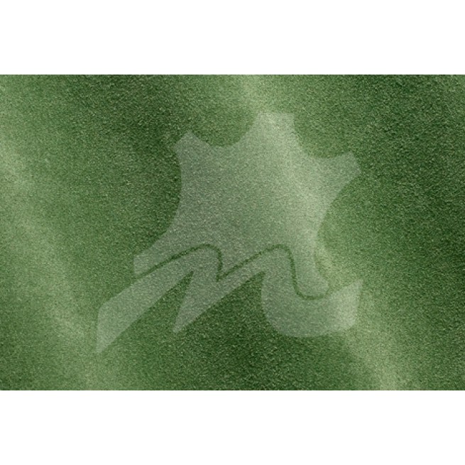 Aligo Group фото
